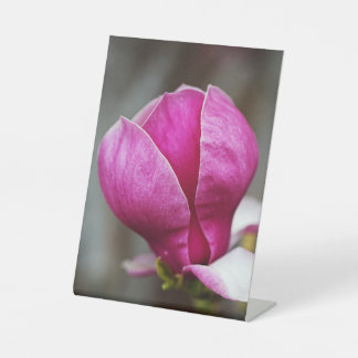 Signe De Table Magnolia rose en pleine floraison