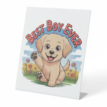 Meilleur garçon jamais