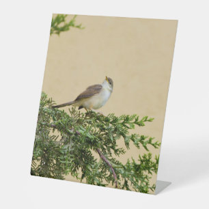 Signe De Table Moineau