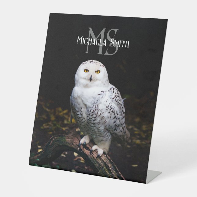 Signe De Table Monographie de hivernal majestueux hivernal (Recto)