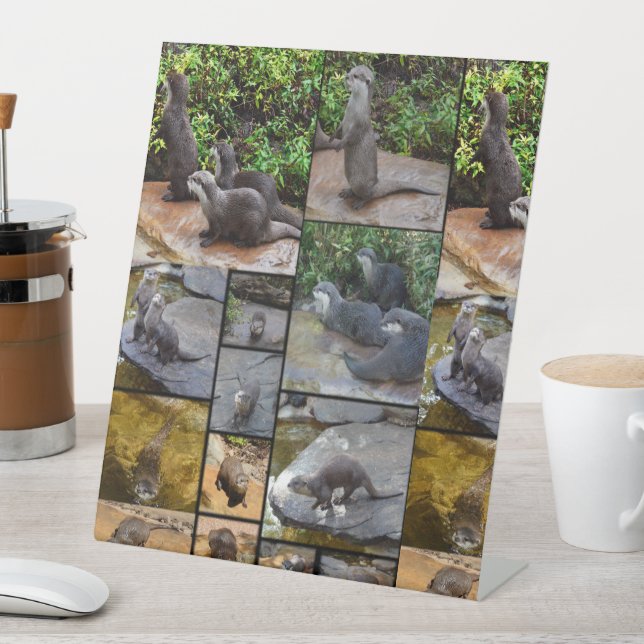 Signe De Table Otter Photo Collage (In SItu)
