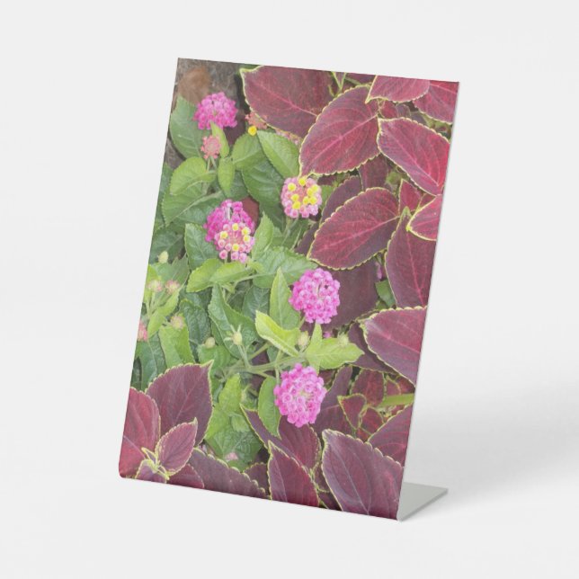 Signe De Table Photo de fleurs (Recto)
