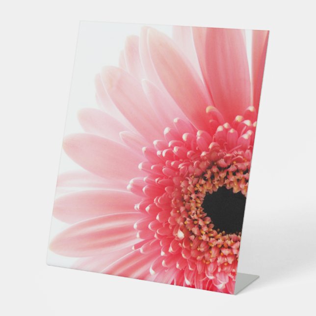 Signe De Table Photographie de gerbera rose frais (Recto)