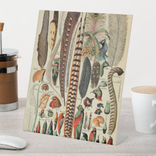 Signe De Table Plumes d'oiseau sauvage Antique Faune