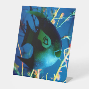 Signe De Table Poisson embouteillé JGibney Le Musée Zazzle
