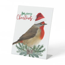 Rendre les esprits lumineux