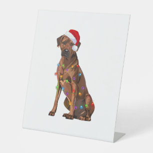 Signe De Table Rhodesian Ridgeback Noël Lumières Noël Chien de No