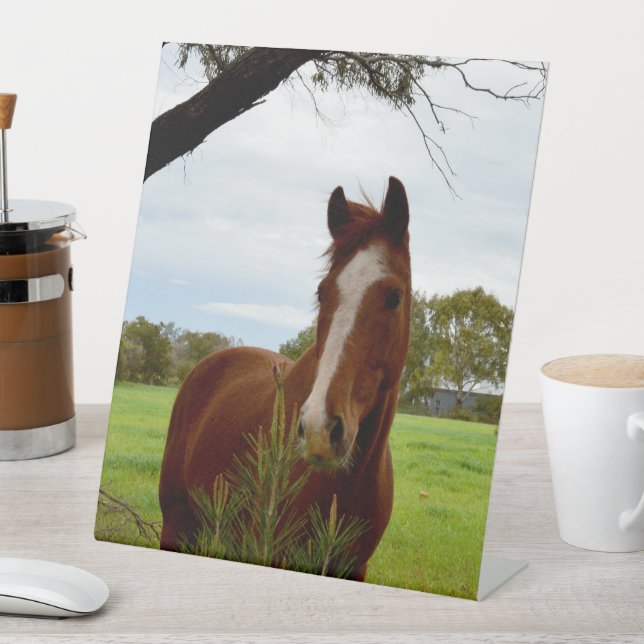 Signe De Table "Une ruche de la nature : un cheval de châtaignier (In SItu)