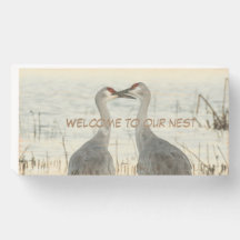 "Bienvenue dans notre nid" avec Sandhill Cranes