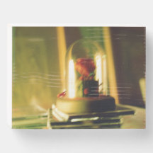 Ephémère sous verre