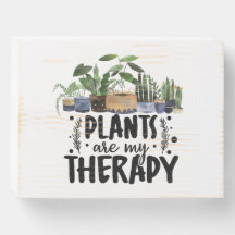 Les plantes botaniques minimales sont ma thérapie