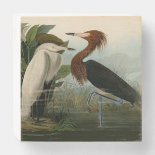 Signe En Bois Peinture de la faune d'Audubon Heron violet