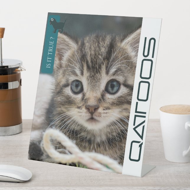 SIGNE PÉDESTAL QATTOOS (In SItu)