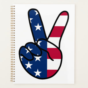 SIGNE USA Flag V