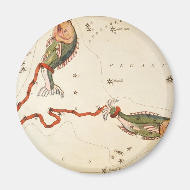 "Signe zodiaque : Poissons" magnet (Devant)