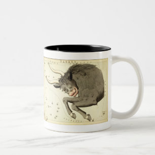 Signe zodiaque : Taurus mug