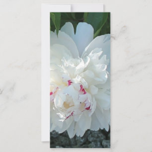 Signet de pivoine romantique