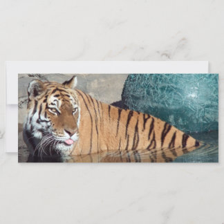 Signet photo du tigre du Bengale