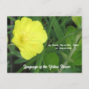 Signification de la carte postale Fleur Jaune