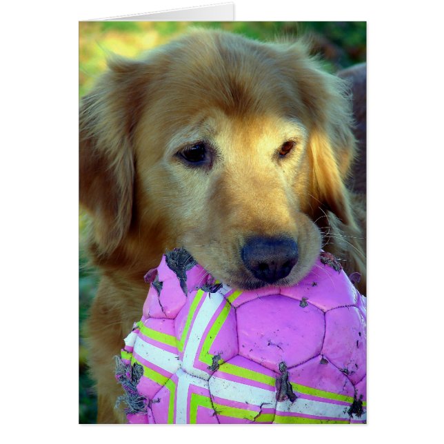 S'Il Vous Plaît Jouer Avec Moi (Devant)