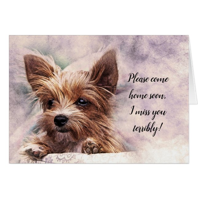 S'Il Vous Plaît, Venez À La Maison Bientôt Je Vous (Devant horizontal)