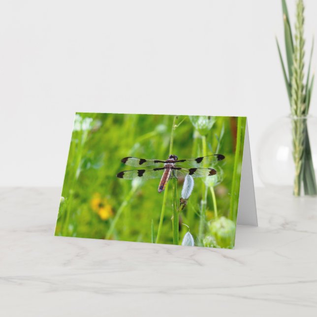 Silent merveilles carte de voeux vierge Dragonfly (Devant)