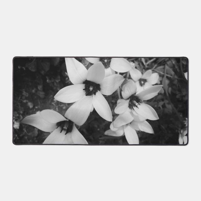 Silent Symmetry (Recto)