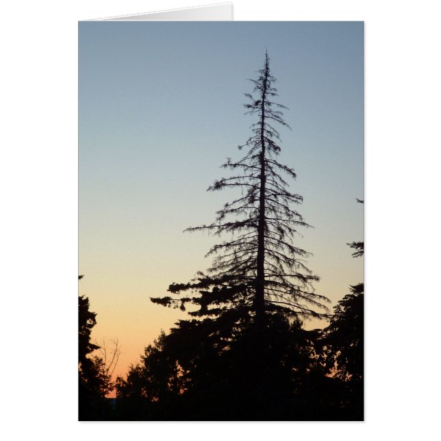Silhouette (Devant)