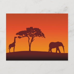 Silhouette africaine Safari - Carte Postale