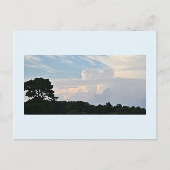 Silhouette Arbre avec carte postale Nuages (Devant)