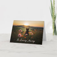 Silhouette de chat dans la carte de sympathie couc