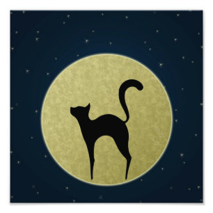 Silhouette de chat et copie de photo de lune