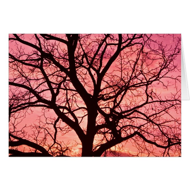 Silhouette de l'Arbre Soudé du soir (Devant Horizontal)