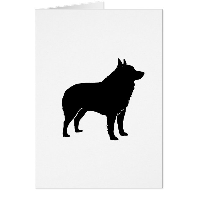 Silhouette de Schipperke (Devant)