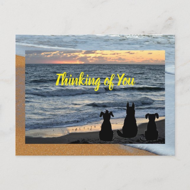 Silhouette du chien à la carte postale surf de l'o (Devant)