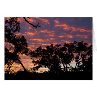 Silhouette du coucher de soleil