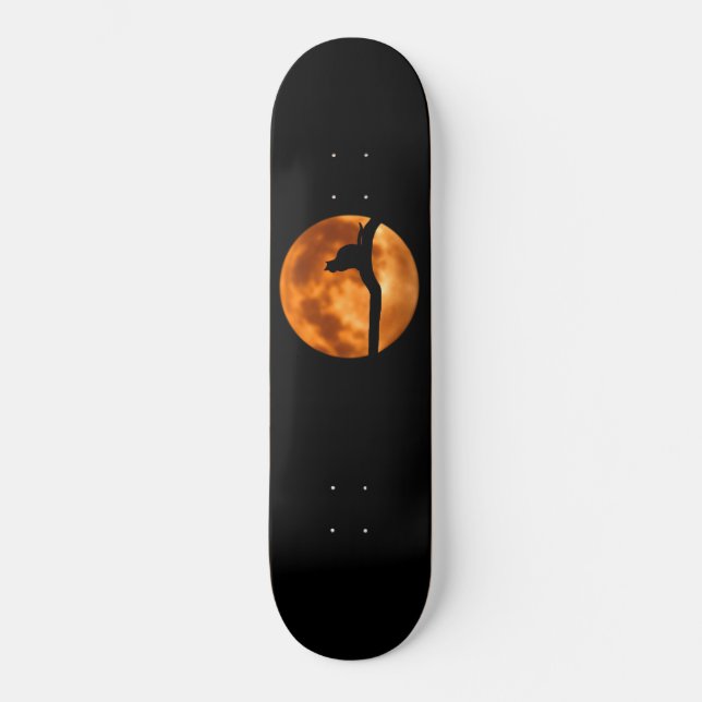 Silhouette d'un chat noir dans un skateboard d'arb (Recto)