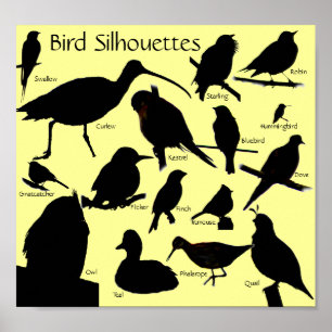 Silhouettes d'oiseaux (16) Poster