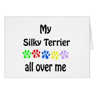 Silky Terrier Walks Design