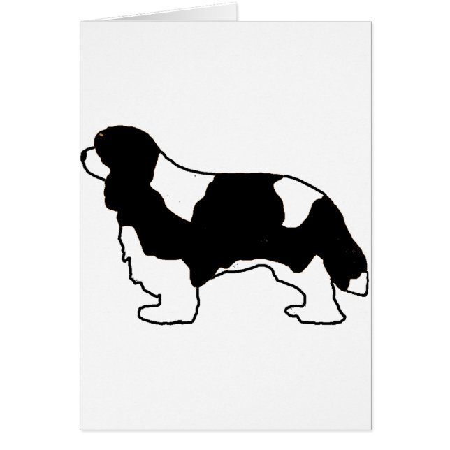 Silo noir et blanc Cavalier King Charles (Devant)