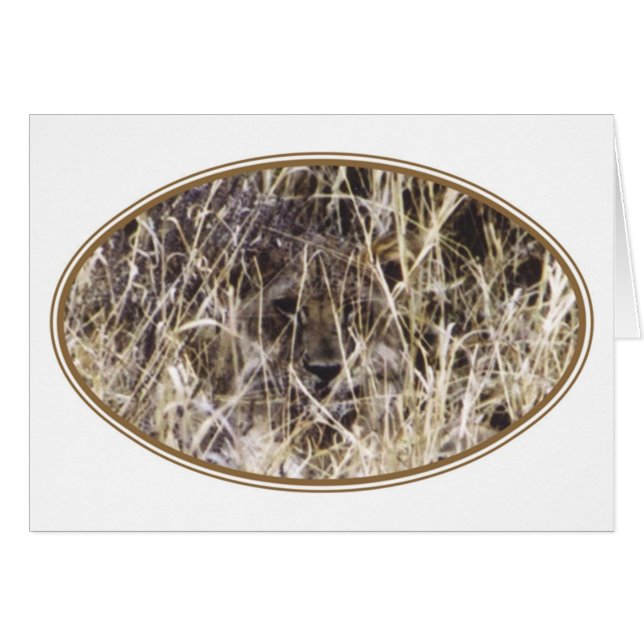 Simba camouflé (lion) (Devant horizontal)