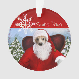Simba Père Noël