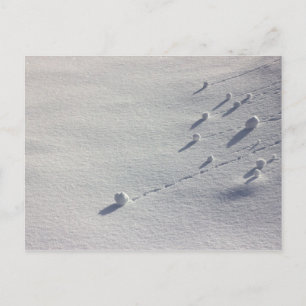 Simon Dit Carte Postale CC0077