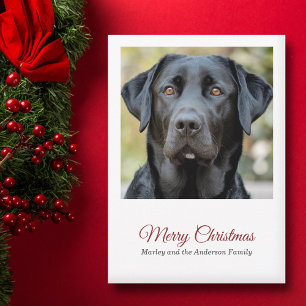 Simple Chien Photo Joyeux Noël Carte de Noël