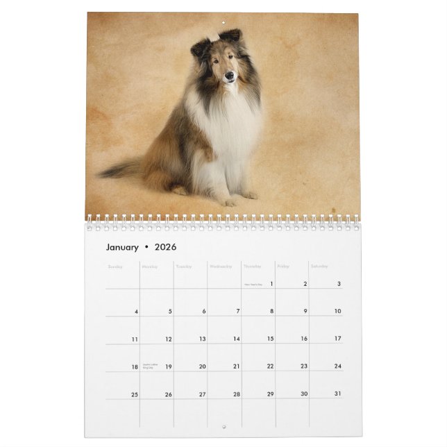 Simplement calendrier de Shelties (Jan 2026)