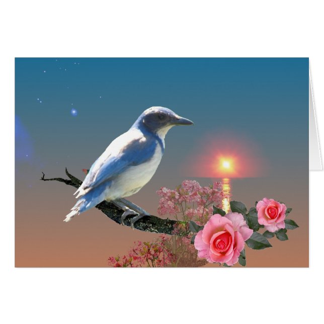 Simplicité (Devant horizontal)