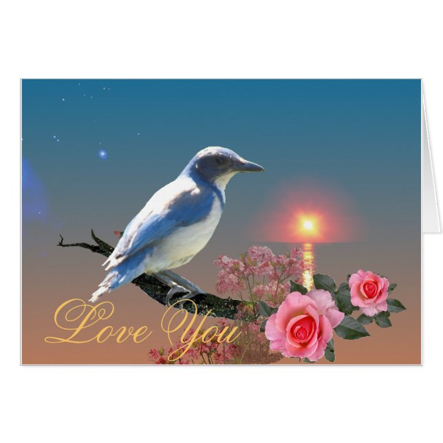 Simplicité (Devant horizontal)