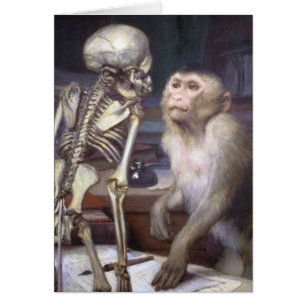 Singe Avant Squelette
