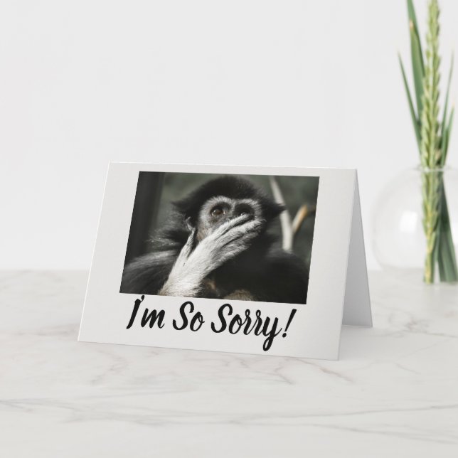 SINGE CHOQUÉ, CARTE DE VOEUX SURPRISE (Devant)