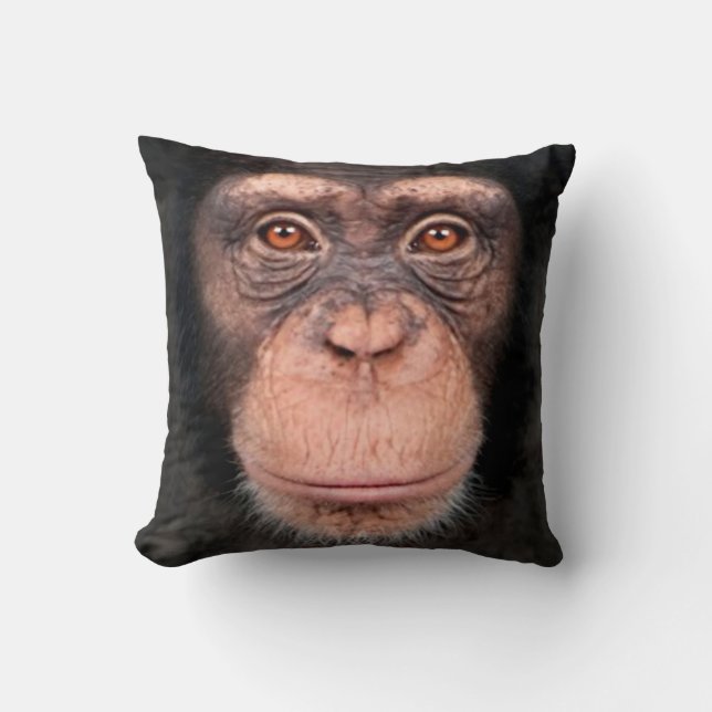 singe Coussin (Recto)